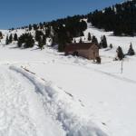 Lisa e Michele in Val di Fiemme